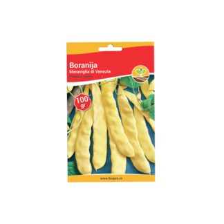 SEME BORANIJA-MERAVIGLIA DI VENEZIA 100 gr.