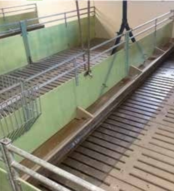 Double Barrel 10 L koncetrovani, alkalni deterdžent za ručno i mašinsko pranje obejakata, opreme i transportnih vozila - Slika 7