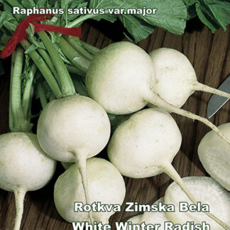 SEME ROTKVA Zimska bela 3 g