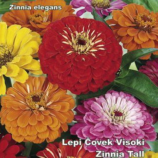 Seme  LEPI ČOVEK VISOKI