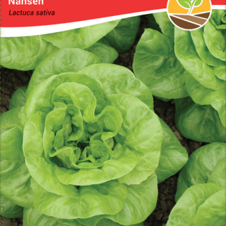 SEME SALATA NANSEN 4 GR