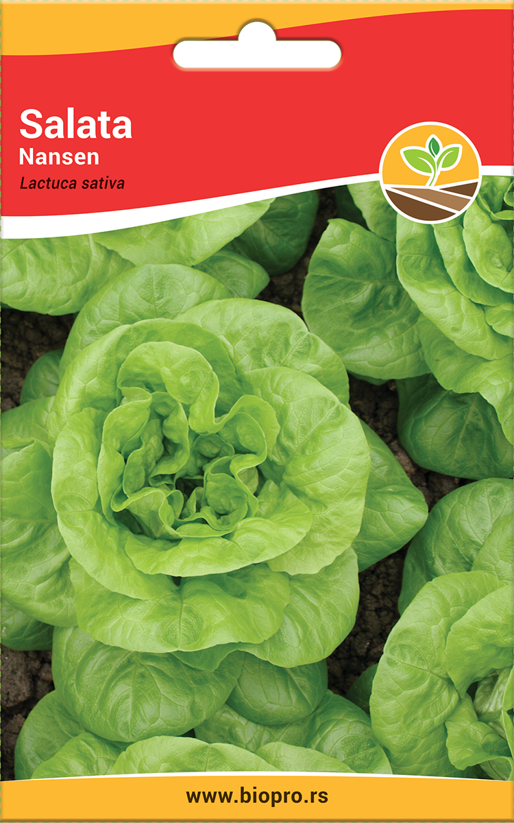 SEME SALATA NANSEN 4 GR