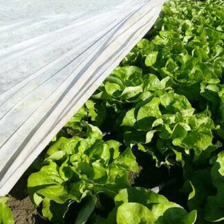 AGRIL folija/ pokrivač 17g 4m širine X 1m