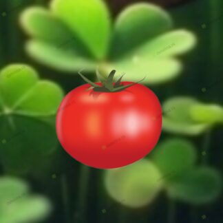 Seme PARADAJZA HIBRID VR 414 F1 250 semenki