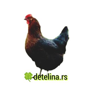 SUPER HARKO KOKA 18 NEDELJA