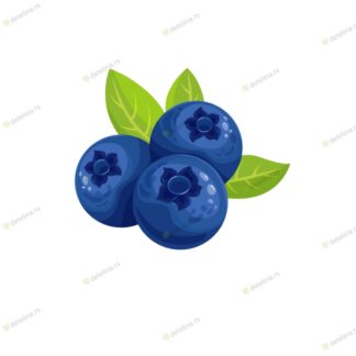 VOĆNA SADNICA BOROVNICA Blue Crop 2L