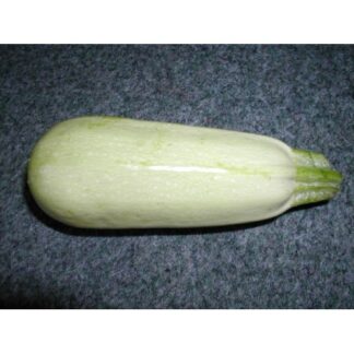 SEME Tikvica Fina 2 g