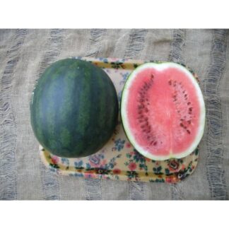 SEME LUBENICA Rosa F₁  1g