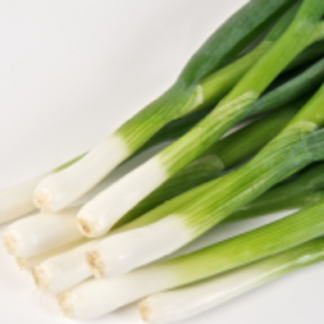 SEME LUK (za vezice) Yoda F1 50g