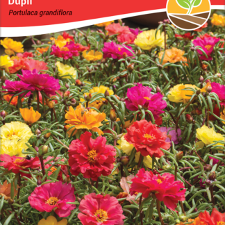 Seme PRKOS DUPLI mix 0,3GR