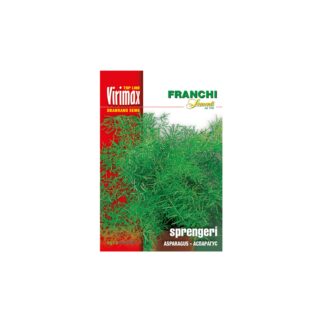 SEME Virimax Sprengeri Asparagus