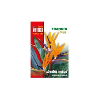 SEME Virimax strelitzia reginae STRELICIJA