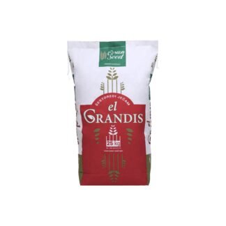 SEME JEČAM EL GRANDIS C1 DORAĐ. ZAPRAŠENO 25kg.