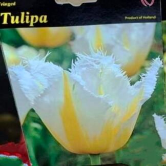 LUKOVICA LALA LEMON BEAUTY 1kom.