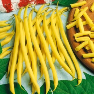 SEME BORANIJA MAXIDOR 500gr.